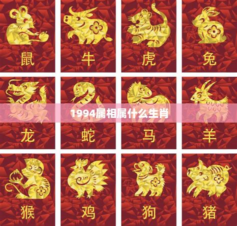 1994年生肖|1994年属什么生肖 1994年出生的生肖是什么命